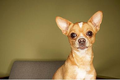 因奖励获取问题《使命召唤：黑色行动6》双倍经验活动现已延长